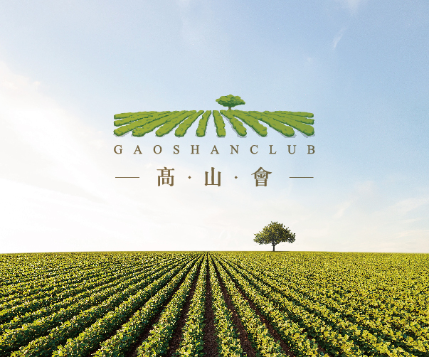 如何在品牌VI設(shè)計(jì)中考慮用戶界面和交互設(shè)計(jì)？